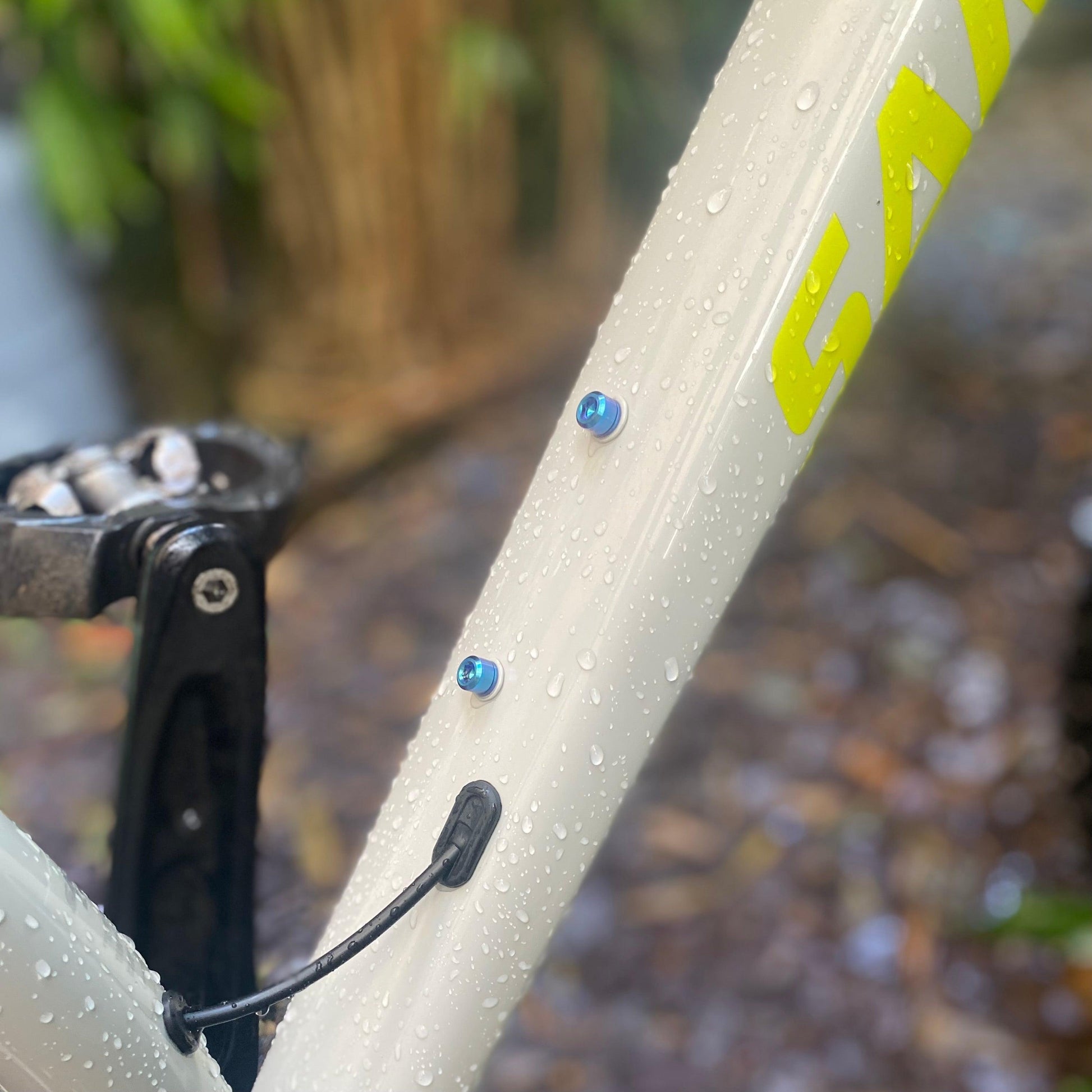 Titanium Stem Bolt M5 (1x Single) - capsmith.cc