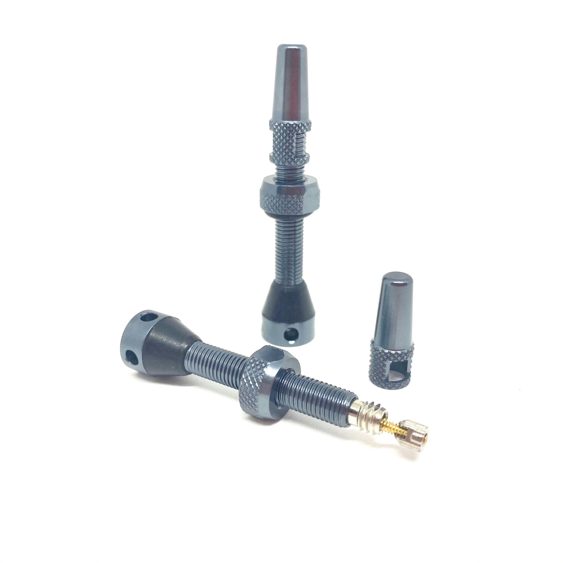 Kit valves SB3 - Tubeless laiton 44mm